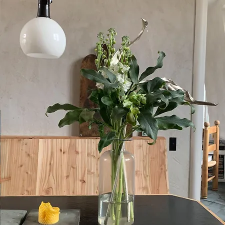 Designer Marais Sanctuary Yann Le Coadic Design *